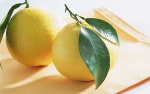 bưởi diễn mua ở đâu
