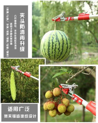 Kẹp kim loại chắc chắn giữ trái không bị rơi