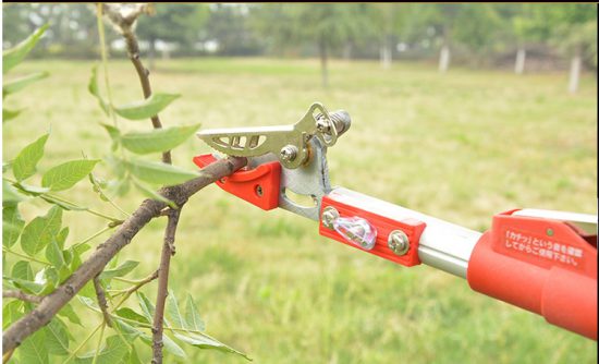 Cắt được những cành to có đường kính dười 1,5cm