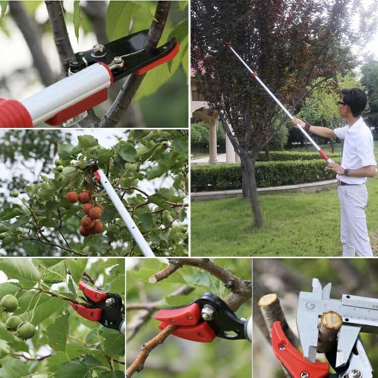 Kéo cắt cành trên cao dạng bấm kẹp nhựa