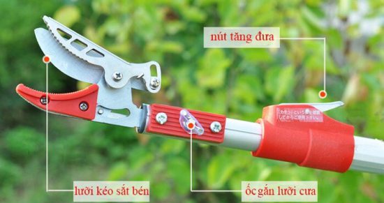 cấu tạo của dụng cụ hái quả trên cao